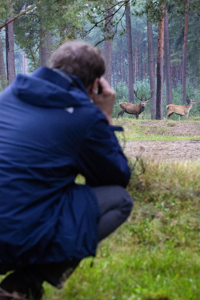 Alex van Hooff gaat graag de natuur in met zijn kinderen. Het luisteren naar het burlen van de herten in het Nationale Park de Hoge Veluwe staat elk jaar op het programma